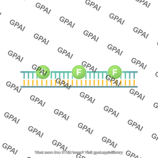 Rt pcr 1. initiation