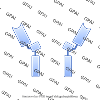 Antibody fragment sdab 2