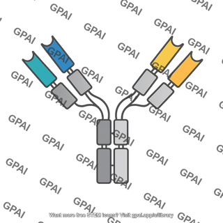 Bispecific antibody mosunetuzemab editable