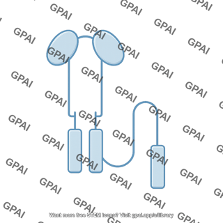 Fc receptor cd32