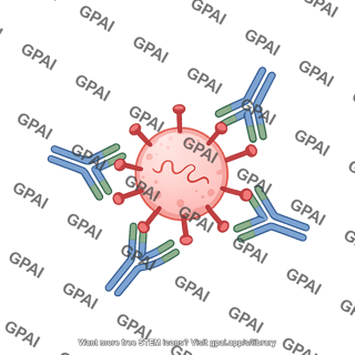 Virus antibody interaction generic cross section