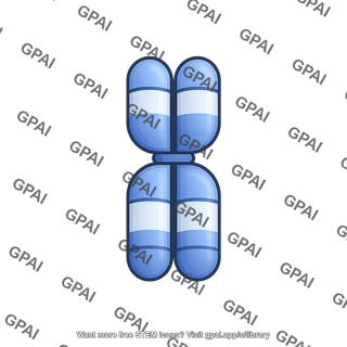 Human karyotype chromosome 20