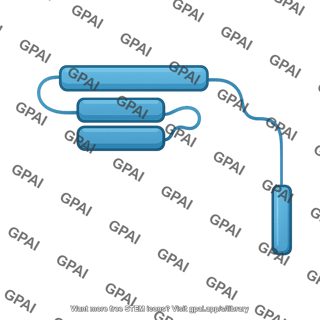 Syntaxin closed schematic editable