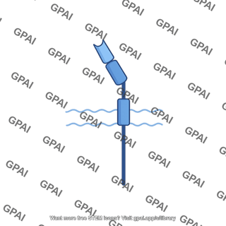 Rage receptor editable
