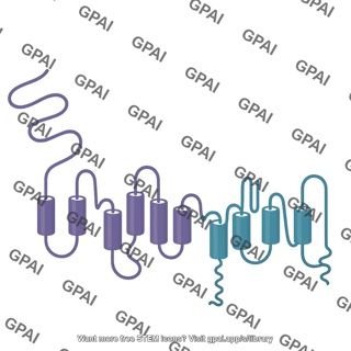 Polycystin 1 2