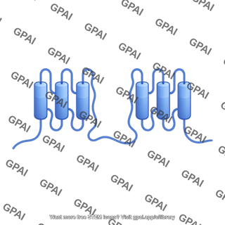 Adenylyl cyclase 01