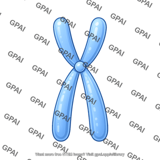 Chromosome simple