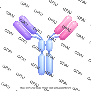 Antibody igg3 round style
