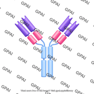Antibody igg3 editable