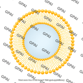 Liposome
