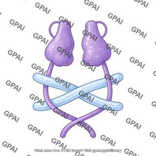 Tgf  latent complex soluble