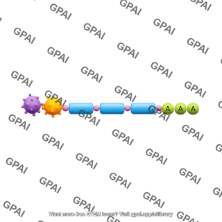 Mrna vaccine straight with neoantigens