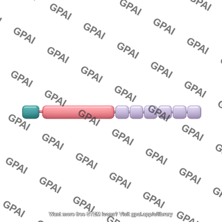 Inflammasome nlrp