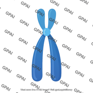 Simple acrocentric chromosome