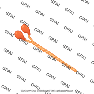 Myosin 2