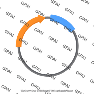 Plasmid 2b