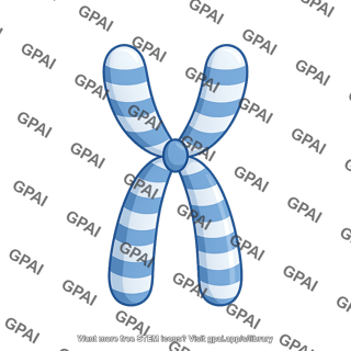 Human karyotype chromosome 8