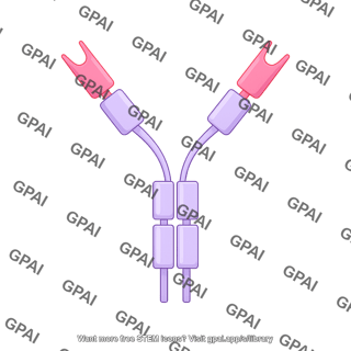 Antibody igy