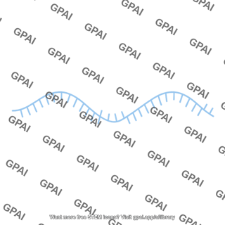 Ssdna short