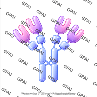 Antibody igm round style editable
