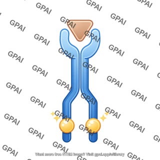 Receptor tyrosine kinase dimer active