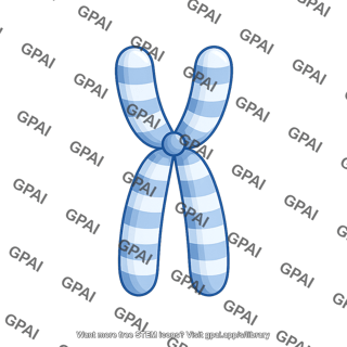 Human karyotype chromosome 9