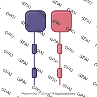 Cd226 or cd155 intracellular domain