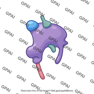 Wnt protein editable