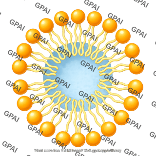 Micelle gemini inverted