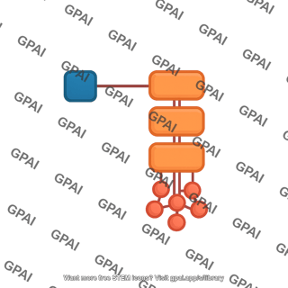 Inflammasome asc
