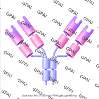Antibody iga with domains