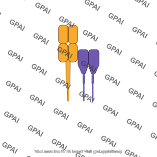 Cd80 cd28 complex