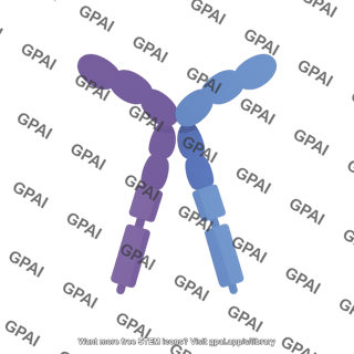 Pdgf heterodimer