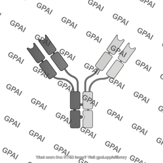 Bispecific antibody greyscale editable