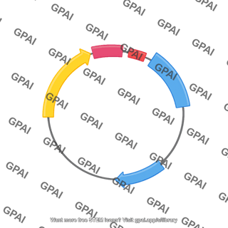 Plasmid 3b