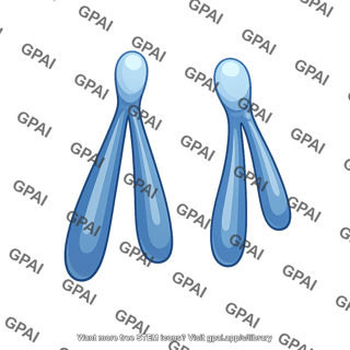 Chromatid simple acrocentric