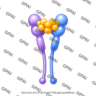 Il 2 intermediate affinity