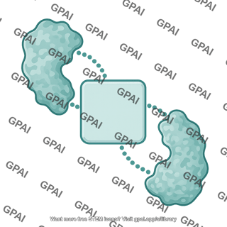 D domain square binding site