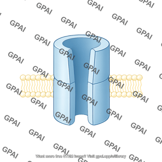 Translocon whole