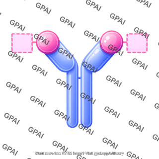 Antibody round style with binding sites editable