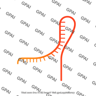 Spcas9 sgrna stem loop bent
