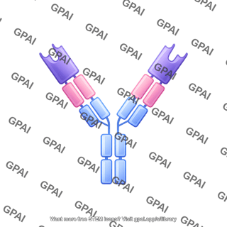 Antibody igd editable