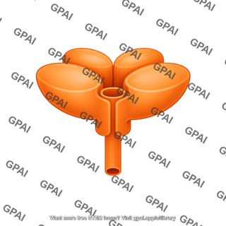 Ryanodine receptor 2 tetramer