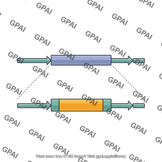 Genome structural variation novel sequence insertion