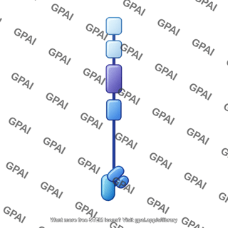 Netrin receptor unc5a