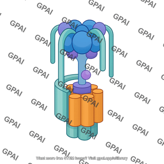 Atp synthase