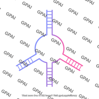 Rna multiloop junction medium 3b