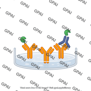 Competitive elisa 3. analyte and conjugate compete for binding
