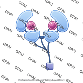 Apoptosome apaf1 with cytochrome c