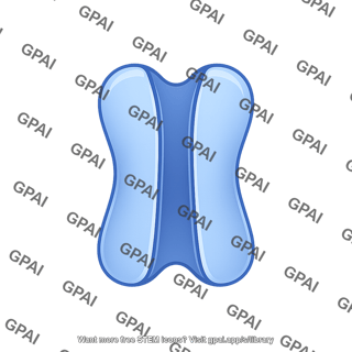 Ion channel